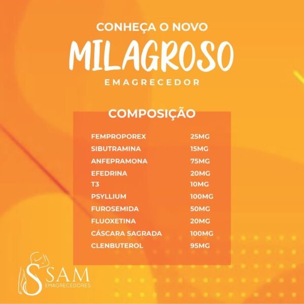 Milagroso Emagrecedor - Imagem 2